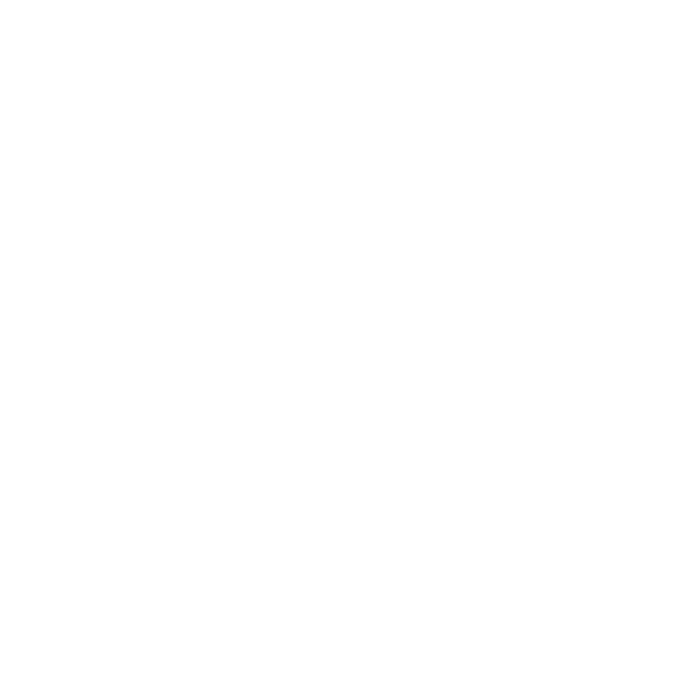 Axis Security and Event Staffing